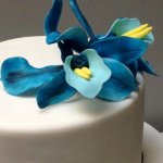 Celebrate Cakes Sugar Flowers - Hand painted spider sugar orchids