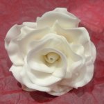 Celebrate Cakes Sugar Flowers - White sugar rose