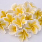 Celebrate Cakes Sugar Flowers - yellow sugar frangipannis
